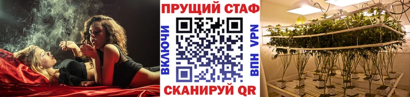 Купить закладку A-PVP  Cocaine  МЕФ  Каннабис  Брянск