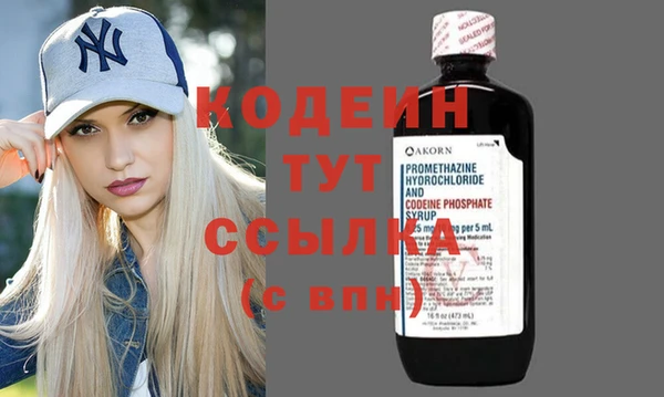 шишки Козельск