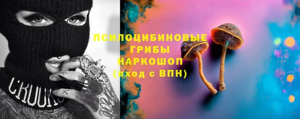 mdpv Козловка