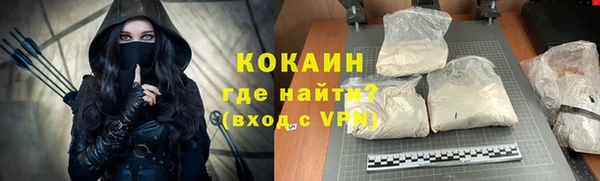 шишки Козельск