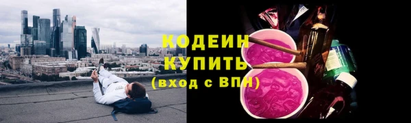 шишки Козельск