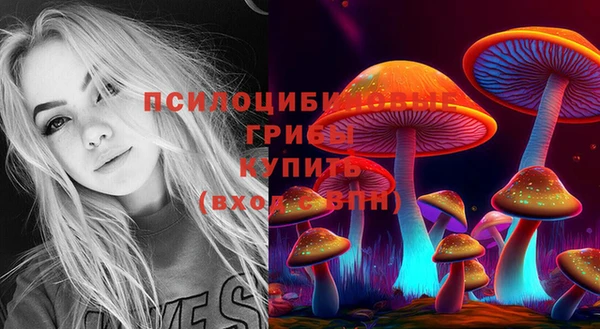 шишки Козельск