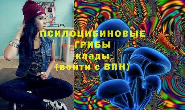 mdpv Козловка