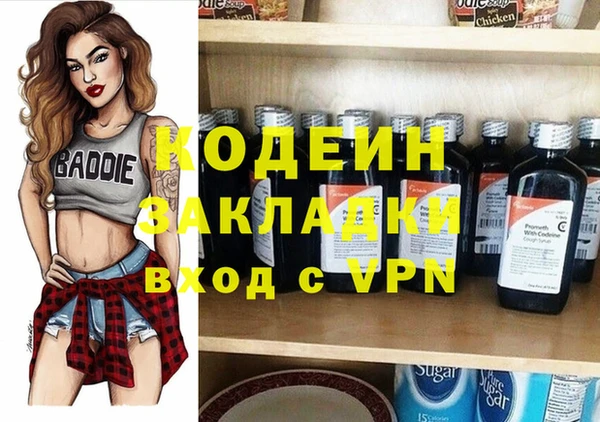 шишки Козельск